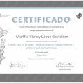 Ampliar imagen: certificate 7