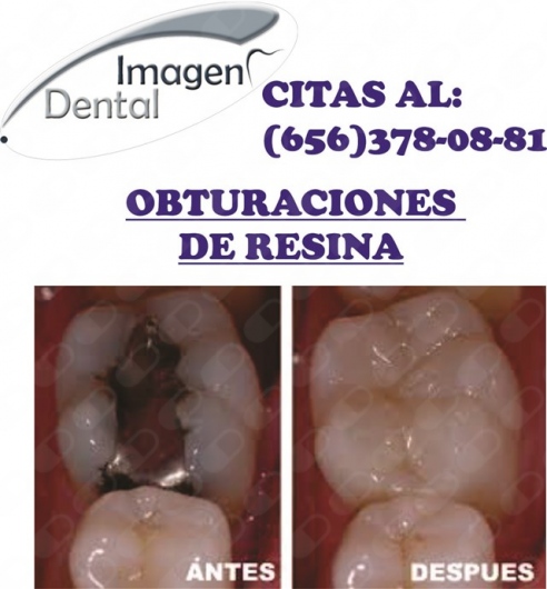 Leonel Palma Carlos-3