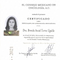 Ampliar imagen: certificate 6