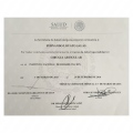Ampliar imagen: certificate 8