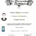 Ampliar imagen: certificate 3