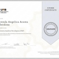 Ampliar imagen: certificate 5