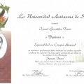 Ampliar imagen: certificate 34