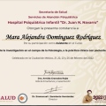 Ampliar imagen: certificate 28