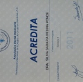 Ampliar imagen: certificate 29