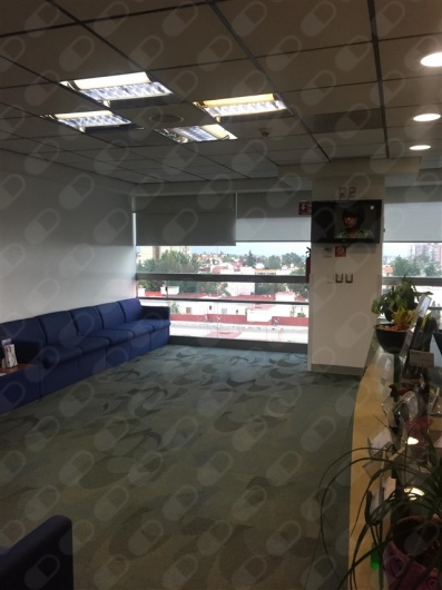 Karla Itzel Rojas Morales-6