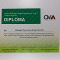 Ampliar imagen: certificate 11