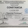 Ampliar imagen: certificate 32