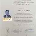 Ampliar imagen: certificate 6