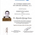 Ampliar imagen: certificate 1