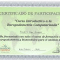 Ampliar imagen: certificate 7