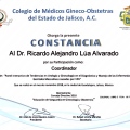 Ampliar imagen: certificate 7