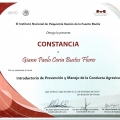 Ampliar imagen: certificate 30