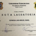 Ampliar imagen: certificate 10