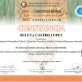 Ampliar imagen: certificate 7