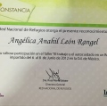 Ampliar imagen: certificate 13