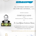 Ampliar imagen: certificate 1