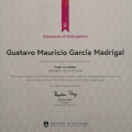 Ampliar imagen: certificate 6