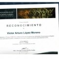Ampliar imagen: certificate 13