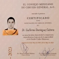 Ampliar imagen: certificate 8
