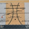 Ampliar imagen: certificate 2