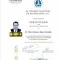 Ampliar imagen: certificate 8