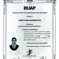 Ampliar imagen: certificate 2