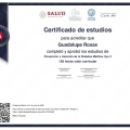 Ampliar imagen: certificate 2