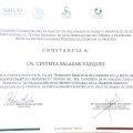 Ampliar imagen: certificate 5