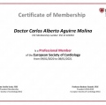 Ampliar imagen: certificate 3