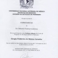 Ampliar imagen: certificate 51