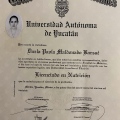 Ampliar imagen: certificate 2