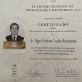 Ampliar imagen: certificate 3