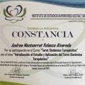 Ampliar imagen: certificate 19