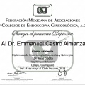 Ampliar imagen: certificate 23