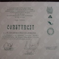 Ampliar imagen: certificate 40