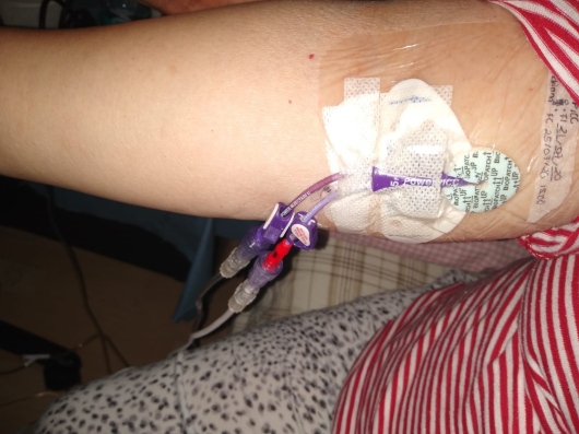 Pedro Edgar Bravo Bautista-4