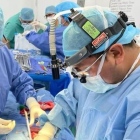 Dr. Luis Alberto Quispe Fernandez