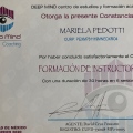 Ampliar imagen: certificate 17