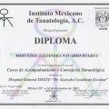 Ampliar imagen: certificate 13
