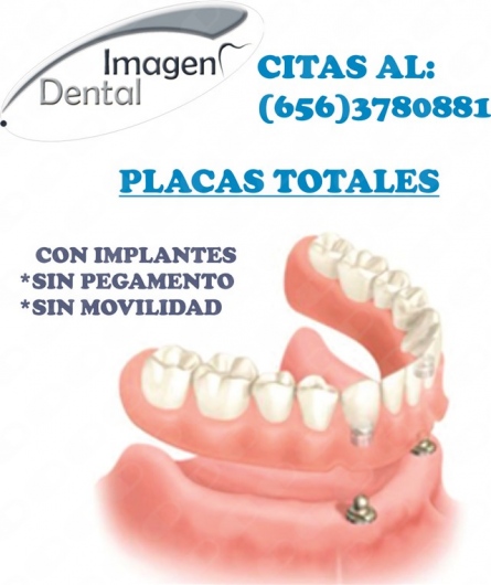 Leonel Palma Carlos-7