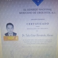Ampliar imagen: certificate 1