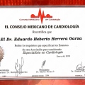 Ampliar imagen: certificate 8
