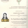 Ampliar imagen: certificate 4