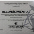 Ampliar imagen: certificate 14