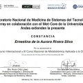 Ampliar imagen: certificate 8