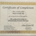 Ampliar imagen: certificate 6
