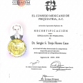 Ampliar imagen: certificate 1