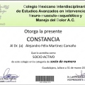 Ampliar imagen: certificate 48