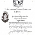 Ampliar imagen: certificate 11